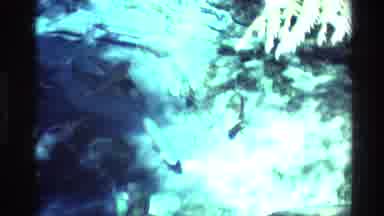 New Zealand (1981): Some Fish Swimming In A Very Clear And Transparent Water