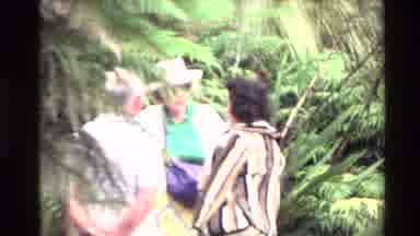 New Zealand (1981): People Talking While They Stand In The Forest