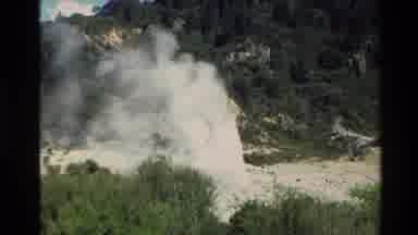 New Zealand (1981): Cone Tree Dense Forest White Smoke Coming Out From Ground