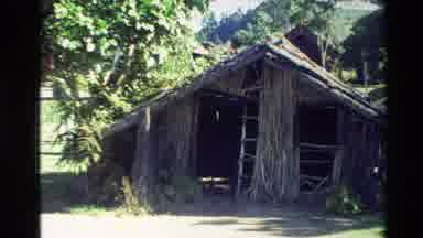 New Zealand (1981): Woman Inspects Historical Wooden Shack House Made Out Of