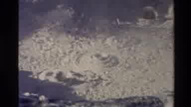 New Zealand (1981): Boiling Volcanic Mud Being Very Dangerous For Anyone To Move