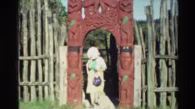 New Zealand (1981): Showing Something Good To See