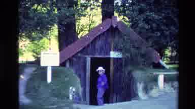 New Zealand-1981: Tourist Entering Maori Hut and Hells Gate Geothermal Park