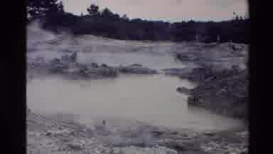 New Zealand-1981: Hot Geyser With Guinea Fowl Pecking In Foreground