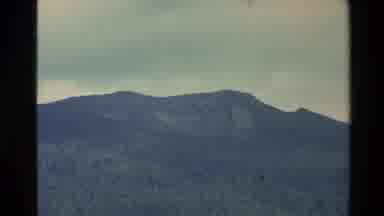 New Zealand (1981): Sheep Roaming Through A Valley