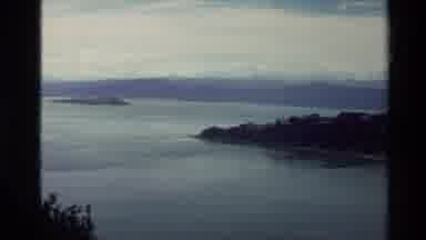 New Zealand (1981): Many Trees And Plants Are On The Shore Of A Big Lake