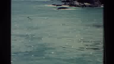New Zealand (1982): Seagulls Flock Over The Water Off A Grouping Of Small Rock