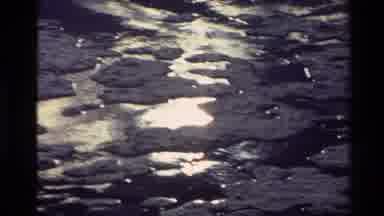 New Zealand (1982): Large River With Its Bank Having Thick Vegetation In The