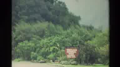 New Zealand (1982): Westland National Park Sign In Front Of Giant Group Of Green
