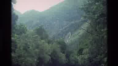 New Zealand (1982): Footage Of A Forest And A Man Walking Towards A Waterfall