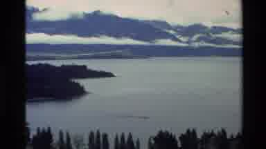 New Zealand (1982): Look Deep Into The Nature And Then You Will Understand