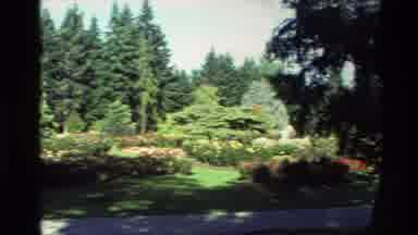 New Zealand (1982): Trees Green Wind Spring And Good Morning And Good Day