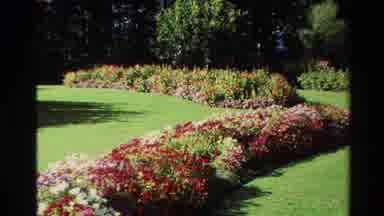 New Zealand (1982): Garden Beautiful Flowers Placard On Stone