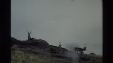 New Zealand (1982): White Longhair And Mountain Goats On A Cloudy Day