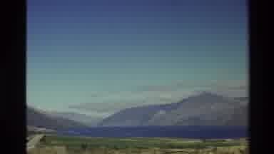 New Zealand (1982): Sheep In Landscape