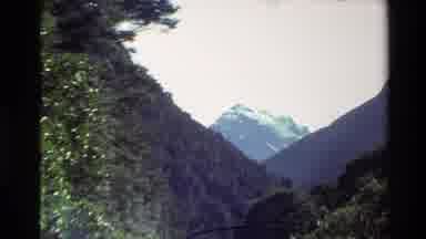 New Zealand (1982): Forest And In The Background A Mountain Later Shows A Small