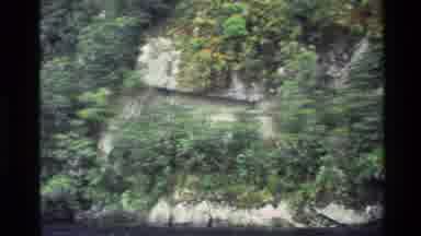 New Zealand (1982): Steep Rock Ledges Covered In Trees From A Boat Slowly Cruising