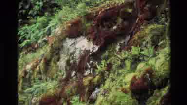 New Zealand (1982): Low Lying Clouds Over Mountains And A Waterfall Over Green