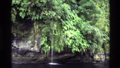 New Zealand (1982): Trees Shrubs Rocky River Bank Natural Thin Waterfall Water