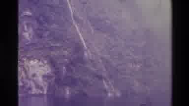 New Zealand (1982): Panning Footage Of Riverside Foliage During The Day As Seen
