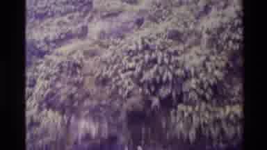 New Zealand (1982): Waterfall Down A Mountain Into A Water Source