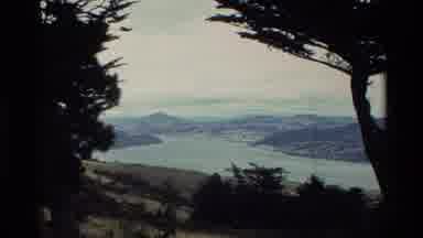 New Zealand (1982): Beautiful Scenery Of Lake Mountains Trees And The Blue Sky