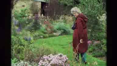 New Zealand (1982): The Grandmother On The House