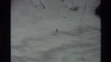 New Zealand (1982): Dog In The Snow Poor Thing