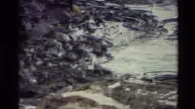 New Zealand (1982): Floating Matter On The Ocean Against Rocks