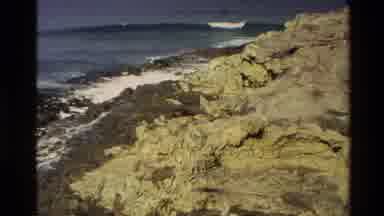 New Zealand (1982): Seal Sunbathing On The Rocks Showing Waves Are Crashing Into
