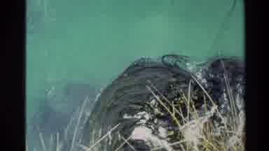 New Zealand (1982): Cliff And The Ocean With Blue Lighting And Currents Flowing
