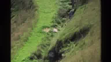 New Zealand (1982): White Animals Nesting By Mountain Lake And On Green Mountain