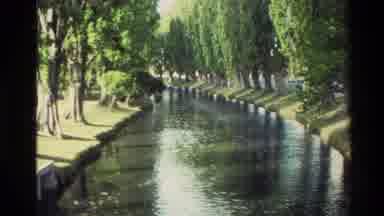NEW ZEALAND-1982: Very Beautiful Park With Several Trees And A River In The