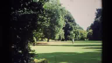 New Zealand (1982): Clipping Is Displaying A Person Walking In Park With Trees