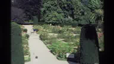 New Zealand (1982): Large Park With Animals Walk Lane Full Of Trees And Plants