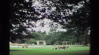 New Zealand (1982): Beautiful Park Where Has Kids Playing On Seesaws And Swings