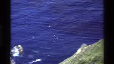 Big Sur California USA (1980): An Aerial White Birds Flying Over A Blue Body Of