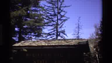 Big Sur California USA (1980): House On The Trees
