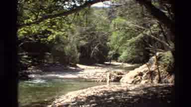 Big Sur California USA (1980): Nature At It Finest Featuring Natural Beauty And