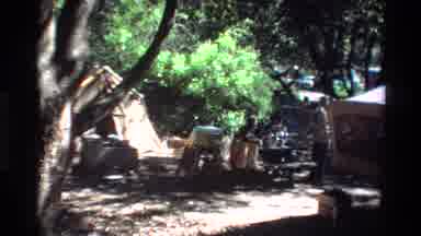 Big Sur California USA (1980): Campsite In The Woods Thick With Trees Including
