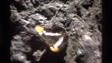 Big Sur California USA (1980): Butterfly Sitting On Dirt And Rocks Before It Takes