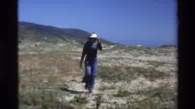 Big Sur California USA (1980): Blooming Yellow Flowers And Person Wearing Blue