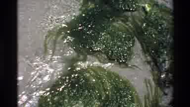 Big Sur California USA (1980): Current Flowing Through Shallow Waters Gently