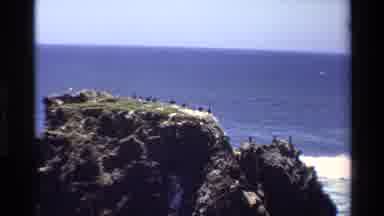 Big Sur California USA (1980): Birds On Rocks By The Ocean