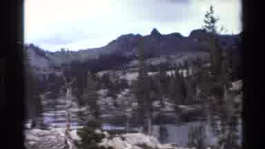 Big Sur California USA (1980): The Quiet Forest Is Guarded By The Pine Trees Who