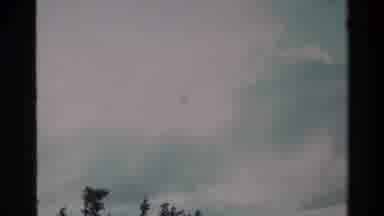 Big Sur California USA (1980): Shot Of Clouds With Trees Beneath With A Close Up