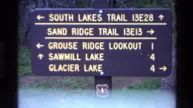 Big Sur California USA (1980): Road Sign In The Woods Near Trees And Flowers