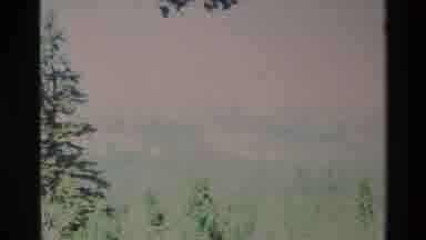 Big Sur California USA (1980): Nature Blue Sky Trees Beautiful Landscape And Open