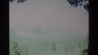 Big Sur California USA (1980): Misty Green Trees And Mountains On A Bright Sunny