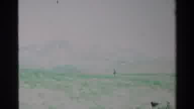 Big Sur California USA (1980): Human Being Is Walking Lonely Through A Vast Field